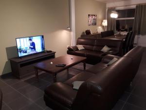 HammeVertentenhuis的带沙发和电视的客厅