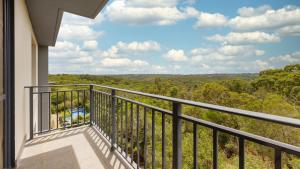悉尼Oaks Sydney North Ryde Suites的享有树林美景的阳台