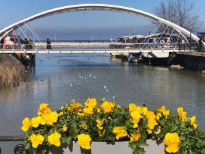亚洛瓦Yalova_Merkez的一条有黄色花的河上的桥梁