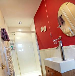 诺里奇Wayside B&B的带淋浴、盥洗盆和镜子的浴室