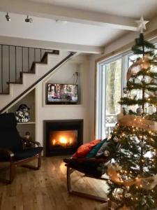 梅戈格Le Cocon Orford Domaine Cheribourg的客厅配有圣诞树和壁炉