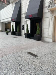 蒙特雷Rose Hotel的地面上种植盆栽植物的建筑物的外形