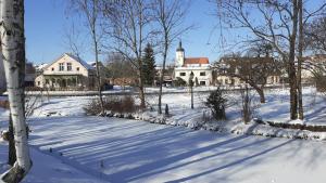 吕本Pension "Am Schloß"的相册照片