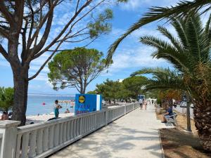 茨里克韦尼察ROOMS " City Center Crikvenica "40m beach的棕榈树海滩旁的一条人行道