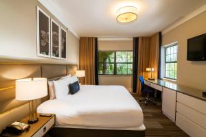 迈阿密海滩迈阿密海滩圣胡安酒店的配有一张床和一张书桌的酒店客房
