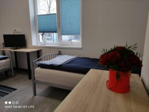 什切青Pokoje nad Regalicą的一间卧室配有一张床和一张花瓶桌子