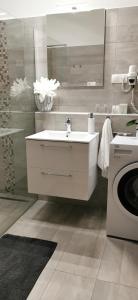 比克Hanna Apartman的一间带水槽和洗衣机的浴室