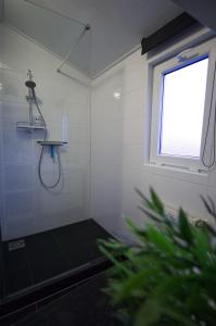 Hensbroekchalet hensbroek的带淋浴的浴室,配有窗户和植物