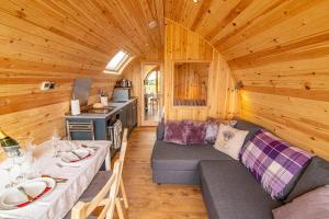 阿伯费尔迪Farragon Luxury Glamping Pod with Hot Tub & Pet Friendly at Pitilie Pods的小屋内的客厅配有沙发和炉灶