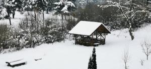 蒂米苏尔德约斯HOTEL ALL TIMES的森林中雪覆盖的凉亭