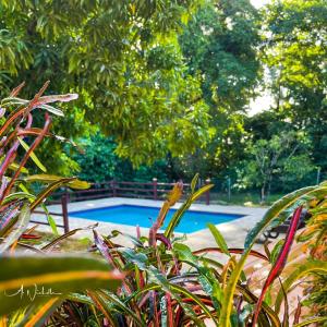 斯卡伯勒Tropical Apartments Tobago的相册照片