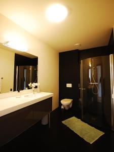维克火山酒店 的一间带水槽、卫生间和镜子的浴室