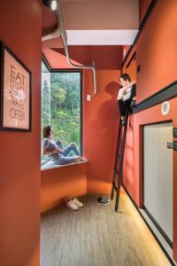 鱼池乡貓頭鷹旅店的一间拥有橙色墙壁和梯子的儿童房