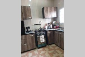 阿布贾Well furnished and spacious 2 bedroom apartment的厨房配有木制橱柜和炉灶烤箱。
