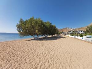 LivadakiaGalazio Seaside Apartments的一片种满树木的沙滩和大海