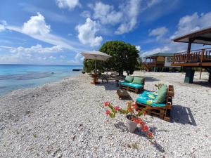 法卡拉瓦Fafapiti Lodge Fakarava的海滩上设有椅子和遮阳伞,大海