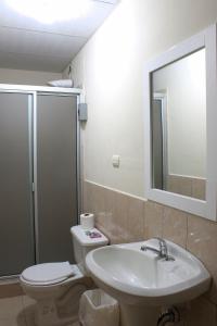 圣安娜Casa Central de Santa Ana的一间带水槽、卫生间和镜子的浴室