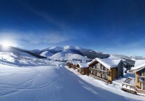 迪马诺卡多林纳Chalety Jasná Apartmány Bor的山地雪地小屋