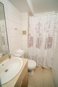伊基克阿波罗卡弯查公寓的浴室配有水槽、卫生间和浴帘