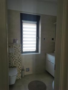 里耶卡Apartmani Nika的浴室设有窗户、卫生间和水槽。