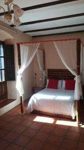 马尔帕尔蒂达德卡塞雷斯卡萨乡间玛丽亚旅馆的一间卧室配有一张带天蓬的床