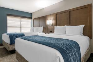 迈阿密Comfort Inn & Suites Downtown Brickell-Port of Miami的酒店客房内设有两张大床