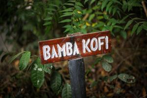瓦塔穆Bamba Kofi Tented Camp的相册照片