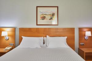 莱昂西尔肯路易德里昂酒店的卧室配有带白色枕头的大床