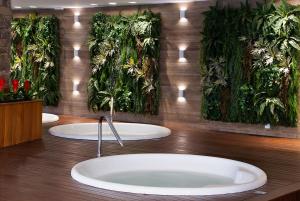 格拉玛多Bella Gramado Resort & Spa by Gramado Parks的浴室设有3个水槽,墙上挂有植物