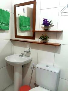 伊比科阿拉Espaço Terra Dourada, Ibicoara, Chap Diamantina的一间带卫生间、水槽和镜子的浴室