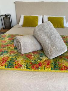 阿雅克修LA POINTE D’ASPRETTO的床上有两张枕头,有毯子