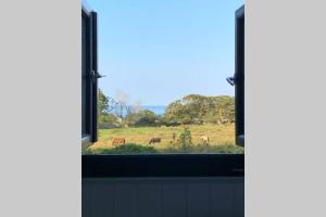 LlanddwyweLle Mary - Beautiful views, Hot tub, Secluded, Dog Welcome, Barmouth的享有马场景致的窗户