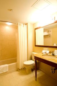 林布鲁克Rockville Centre Hotel的一间带卫生间、水槽和镜子的浴室