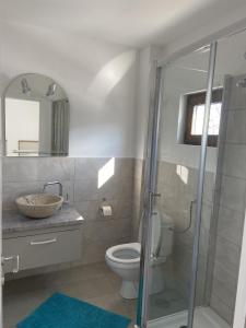 GalşaLa Foresteria的一间带卫生间和玻璃淋浴间的浴室