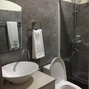 塔比拉兰Bohol Ecotel的一间带水槽、卫生间和淋浴的浴室