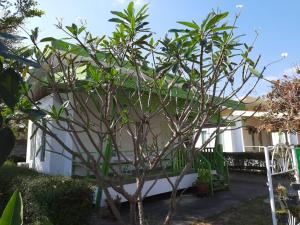Amphoe Sawang Daen DinThe luxury的房子前面的小树