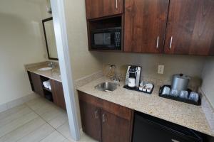 坎宁维尔Creekside Hotel & Suites的厨房配有水槽和微波炉