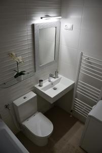 埃格尔Holiday Home & Apartment的一间带卫生间、水槽和镜子的浴室