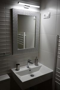 埃格尔Holiday Home & Apartment的一间带水槽和镜子的浴室