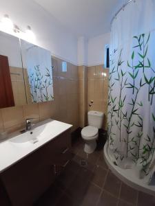 阿里拉斯Splish Splash Apartments的浴室配有水槽、卫生间和浴帘