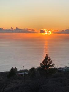 蒂哈拉费HRlos Piratas - Ferien Haus La Palma - GOOD WLAN !!的海面上的日落,在前方有一棵树