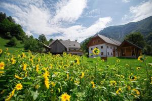 特尔日奇Apartments Tourist Farm Štorman with EV Ch-Station的一座房子前面的一片黄花