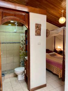 Aguas ZarcasFinca Isla Rainforest Retreat的一间带床和卫生间的浴室