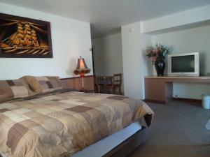 Okanogan蓝山汽车旅馆的一间卧室配有一张床和一张书桌及电视