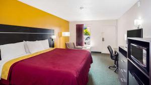 布雷登顿Magnuson Hotel Bradenton的配有一张床和一台平面电视的酒店客房