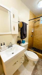 庞塞Homey Escape with Patio Access and FREE laundry的一间带水槽、卫生间和淋浴的浴室
