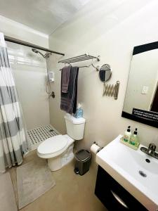 庞塞Cozy Studio Retreat with Private Parking and FREE Laundry的浴室配有卫生间、淋浴和盥洗盆。