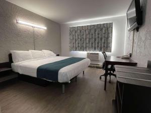 绿湾格林贝朗博6号汽车旅馆的配有一张床、一张书桌和一扇窗户的酒店客房