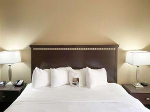 金斯兰Comfort Suites Kings Bay Naval Base Area的一张带白色枕头的床和两张带台灯的桌子