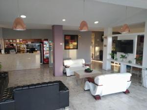 阿瓜斯卡连特斯LaVid Aguascalientes的大堂配有沙发、桌子和电视。